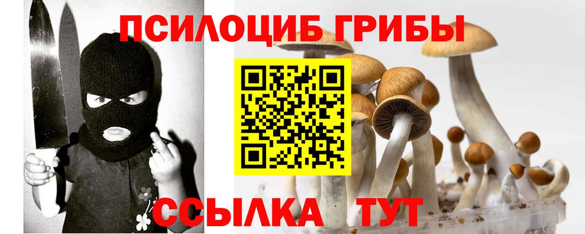 Галлюциногенные грибы MAGIC MUSHROOMS Медногорск